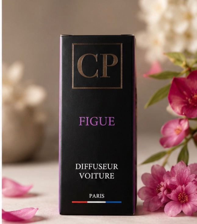 Diffuseur Voiture CP